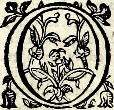 An illustration from VVaerachtighe ende grondighe beschryvinge van het groot ende Goudt-rijck Coninckrijck van Guiana, gheleghen zijnde in America, by noorden de groote Riviere Orelliana, vanden vijfden graed by zuyden totten vijf den graed by noorden de Middellinie in welcke beschryvinghe de rechte gheleghentheyt vande groote ende rijcke Hooftstadt Manoa, Macureguarai, ende andere steden des selvighen coninckrijcks ..., 1598, leaf 8
