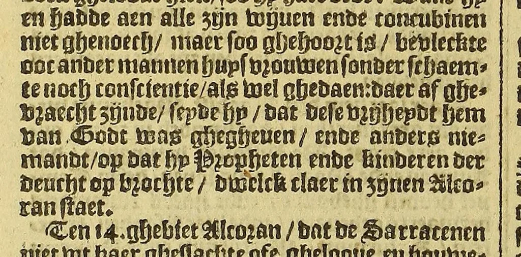 An illustration from VVerelt-boeck, : spieghel ende beeltenisse des gheheelen aerdtbodems,, 1595, leaf 142