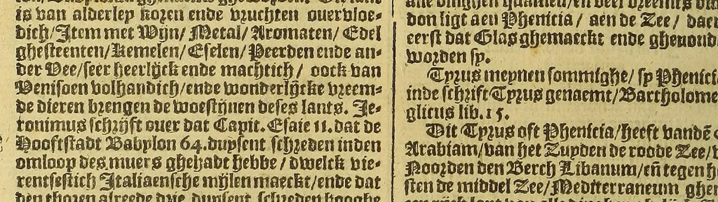 An illustration from VVerelt-boeck, : spieghel ende beeltenisse des gheheelen aerdtbodems,, 1595, leaf 208