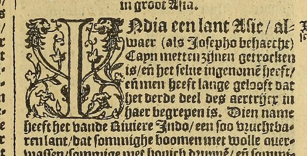 An illustration from VVerelt-boeck, : spieghel ende beeltenisse des gheheelen aerdtbodems,, 1595, leaf 219
