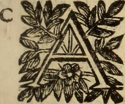 An illustration from Vylssis Aldrovandi ... Serpentvm, et draconv historiae libri dvo : Bartholomaevs Ambrosinvs ... opus concinnauit ... : cum indice memorabilium, nec non uariar linguar locupletissimo, 1640, leaf 178