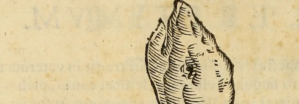 An illustration from Vylssis Aldrovandi ... Serpentvm, et draconv historiae libri dvo : Bartholomaevs Ambrosinvs ... opus concinnauit ... : cum indice memorabilium, nec non uariar linguar locupletissimo, 1640, leaf 199