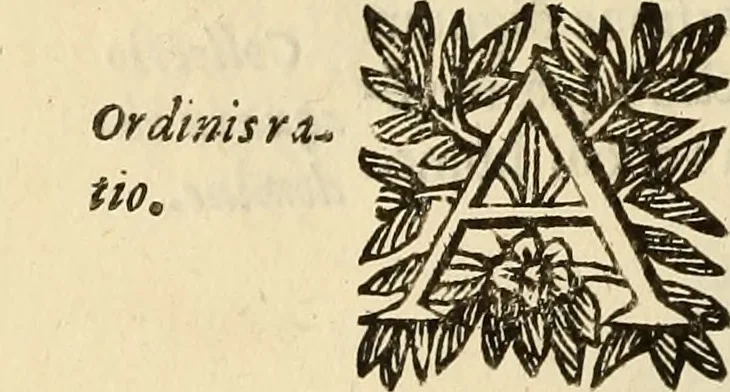 An illustration from Vylssis Aldrovandi ... Serpentvm, et draconv historiae libri dvo : Bartholomaevs Ambrosinvs ... opus concinnauit ... : cum indice memorabilium, nec non uariar linguar locupletissimo, 1640, leaf 263
