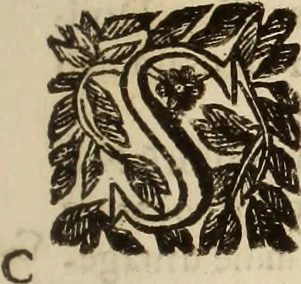 An illustration from Vylssis Aldrovandi ... Serpentvm, et draconv historiae libri dvo : Bartholomaevs Ambrosinvs ... opus concinnauit ... : cum indice memorabilium, nec non uariar linguar locupletissimo, 1640, leaf 270