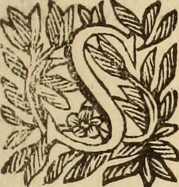 An illustration from Vylssis Aldrovandi ... Serpentvm, et draconv historiae libri dvo : Bartholomaevs Ambrosinvs ... opus concinnauit ... : cum indice memorabilium, nec non uariar linguar locupletissimo, 1640, leaf 276