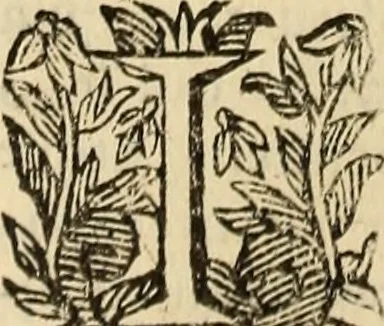 An illustration from Vylssis Aldrovandi ... Serpentvm, et draconv historiae libri dvo : Bartholomaevs Ambrosinvs ... opus concinnauit ... : cum indice memorabilium, nec non uariar linguar locupletissimo, 1640, leaf 305