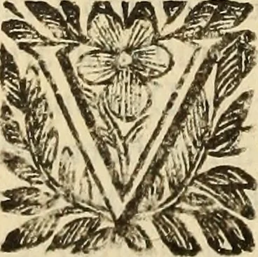 An illustration from Vylssis Aldrovandi ... Serpentvm, et draconv historiae libri dvo : Bartholomaevs Ambrosinvs ... opus concinnauit ... : cum indice memorabilium, nec non uariar linguar locupletissimo, 1640, leaf 313