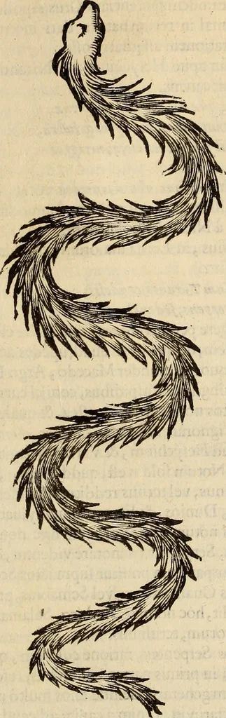 An illustration from Vylssis Aldrovandi ... Serpentvm, et draconv historiae libri dvo : Bartholomaevs Ambrosinvs ... opus concinnauit ... : cum indice memorabilium, nec non uariar linguar locupletissimo, 1640, leaf 316