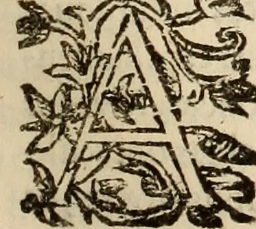 An illustration from Vylssis Aldrovandi ... Serpentvm, et draconv historiae libri dvo : Bartholomaevs Ambrosinvs ... opus concinnauit ... : cum indice memorabilium, nec non uariar linguar locupletissimo, 1640, leaf 316