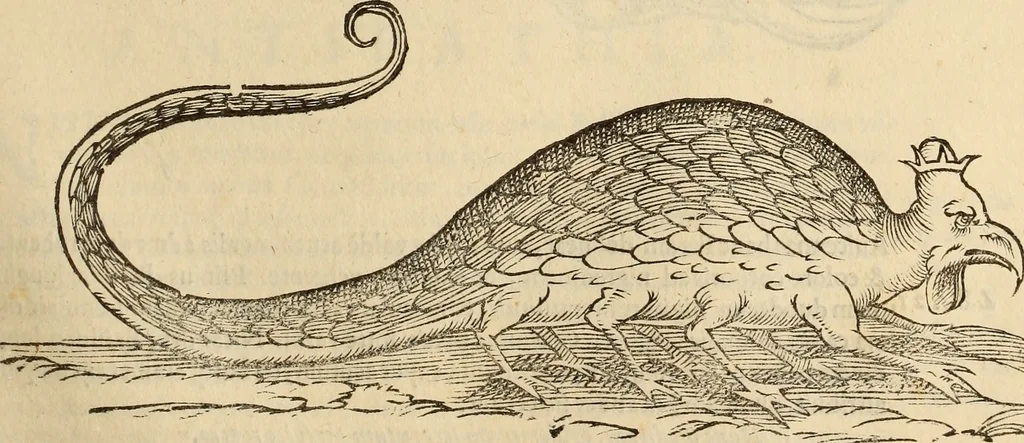 An illustration from Vylssis Aldrovandi ... Serpentvm, et draconv historiae libri dvo : Bartholomaevs Ambrosinvs ... opus concinnauit ... : cum indice memorabilium, nec non uariar linguar locupletissimo, 1640, leaf 374