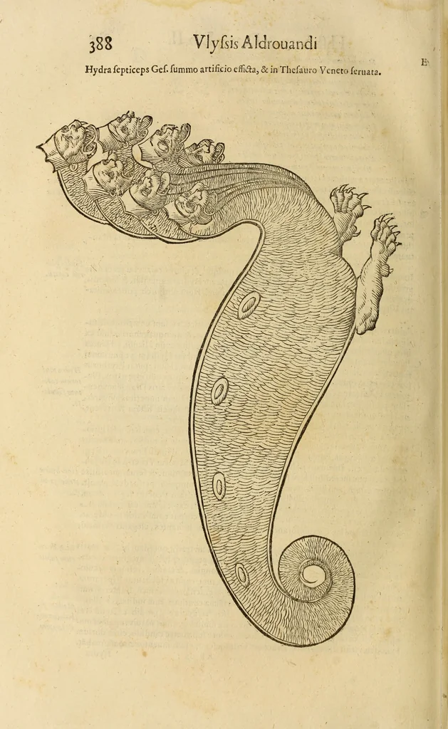 An illustration from Vylssis Aldrovandi ... Serpentvm, et draconv historiae libri dvo : Bartholomaevs Ambrosinvs ... opus concinnauit ... : cum indice memorabilium, nec non uariar linguar locupletissimo, 1640, leaf 399