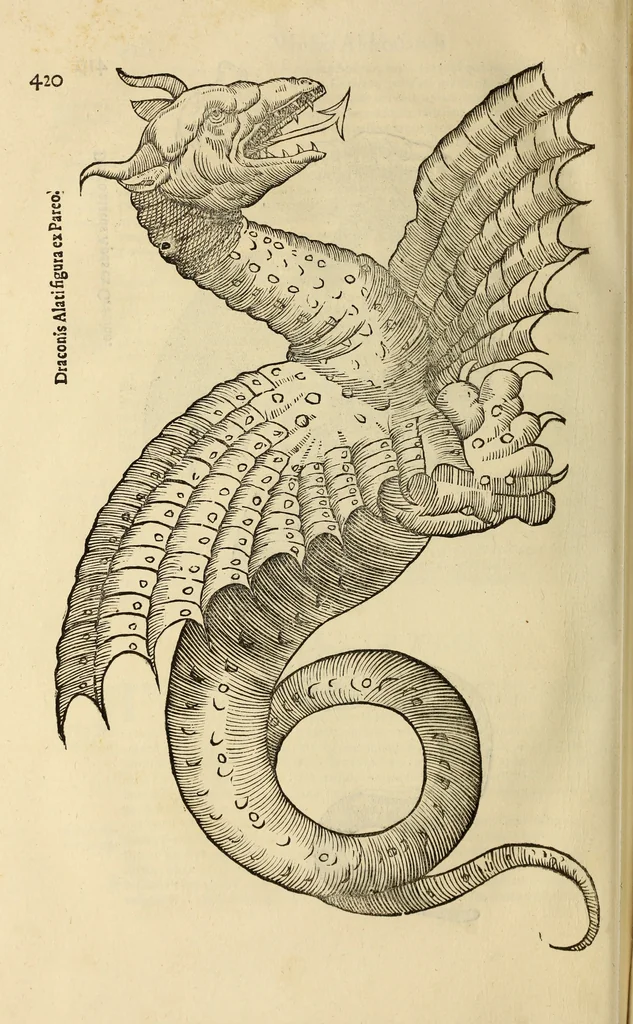 An illustration from Vylssis Aldrovandi ... Serpentvm, et draconv historiae libri dvo : Bartholomaevs Ambrosinvs ... opus concinnauit ... : cum indice memorabilium, nec non uariar linguar locupletissimo, 1640, leaf 431