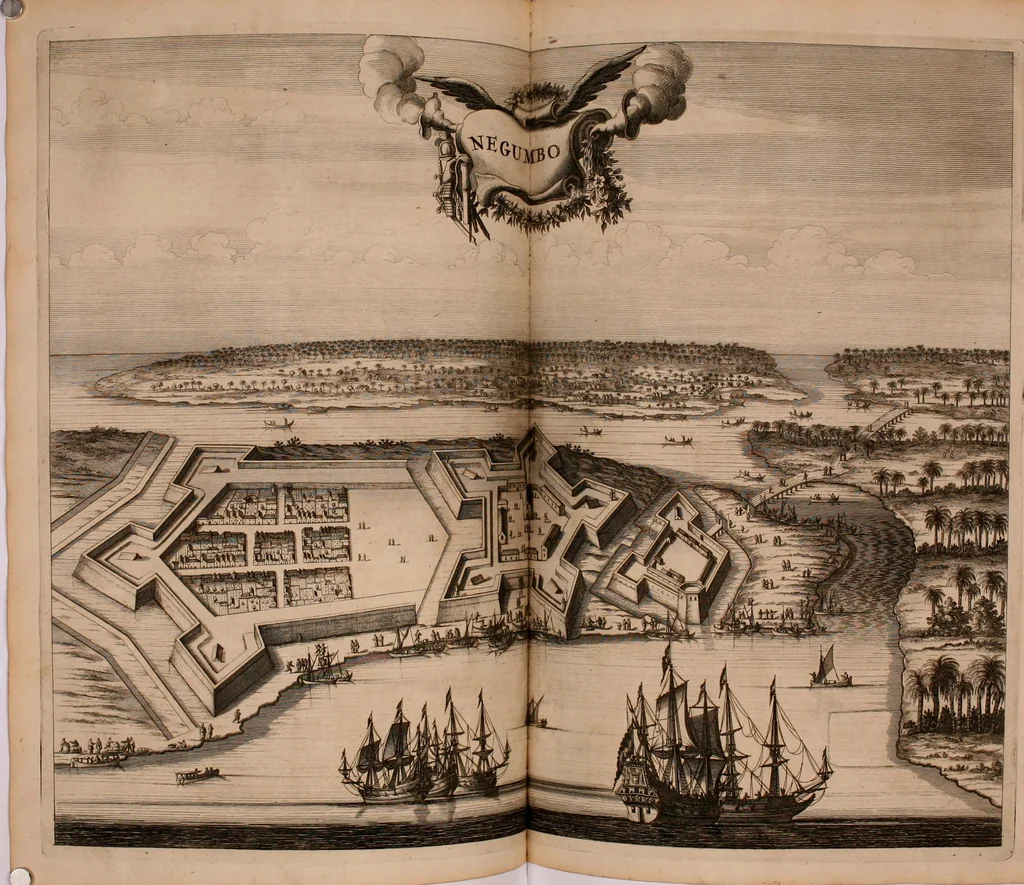 An illustration from Wahrhaftige ausführliche beschreibung der berühmten ostindischen kusten Malabar und Coromandel, als auch der insel Zeylon: samt dero angräntzenden und untergehörigen reichen, fürstentühmen, ländern, städten ... so wol auch der merkwürdigsten kriegshändel, belägerungen, feld- und seeschlachten, sonderlich zwischen den Portugesen und Holländern, handel-und kaufmannschaften: durchgehends verzieret mit neuen landkahrten und abbildungen der vornehmsten städte, festungen, trachten, thiere, früchte, &c. so in India selbst nach dem leben gezeichnet, und folgends mit fleiss zu kupfer gebracht: benebst einer umständlichen und gründlichen entdeckung der abgötterey der ost-indischen heyden, Malabaren, Benjanen, Gentiven, Bramines &c. .., 1672, leaf 427