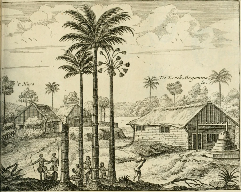An illustration from Wahrhaftige ausführliche beschreibung der berühmten ostindischen kusten Malabar und Coromandel, als auch der insel Zeylon: samt dero angräntzenden und untergehörigen reichen, fürstentühmen, ländern, städten ... so wol auch der merkwürdigsten kriegshändel, belägerungen, feld- und seeschlachten, sonderlich zwischen den Portugesen und Holländern, handel-und kaufmannschaften: durchgehends verzieret mit neuen landkahrten und abbildungen der vornehmsten städte, festungen, trachten, thiere, früchte, &c. so in India selbst nach dem leben gezeichnet, und folgends mit fleiss zu kupfer gebracht: benebst einer umständlichen und gründlichen entdeckung der abgötterey der ost-indischen heyden, Malabaren, Benjanen, Gentiven, Bramines &c. .., 1672, leaf 480