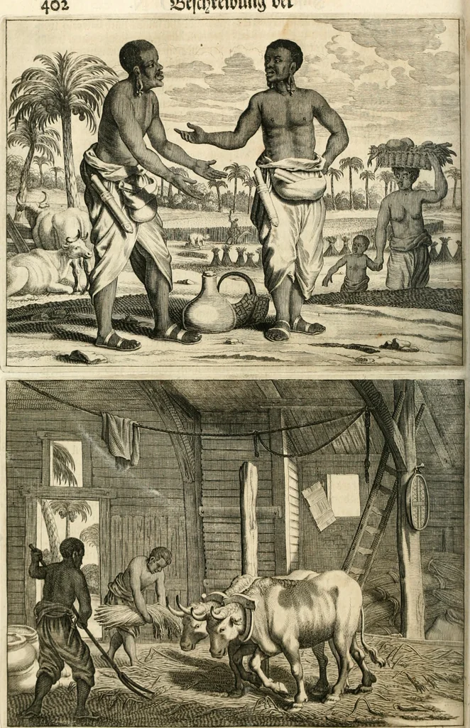 An illustration from Wahrhaftige ausführliche beschreibung der berühmten ostindischen kusten Malabar und Coromandel, als auch der insel Zeylon: samt dero angräntzenden und untergehörigen reichen, fürstentühmen, ländern, städten ... so wol auch der merkwürdigsten kriegshändel, belägerungen, feld- und seeschlachten, sonderlich zwischen den Portugesen und Holländern, handel-und kaufmannschaften: durchgehends verzieret mit neuen landkahrten und abbildungen der vornehmsten städte, festungen, trachten, thiere, früchte, &c. so in India selbst nach dem leben gezeichnet, und folgends mit fleiss zu kupfer gebracht: benebst einer umständlichen und gründlichen entdeckung der abgötterey der ost-indischen heyden, Malabaren, Benjanen, Gentiven, Bramines &c. .., 1672, leaf 489