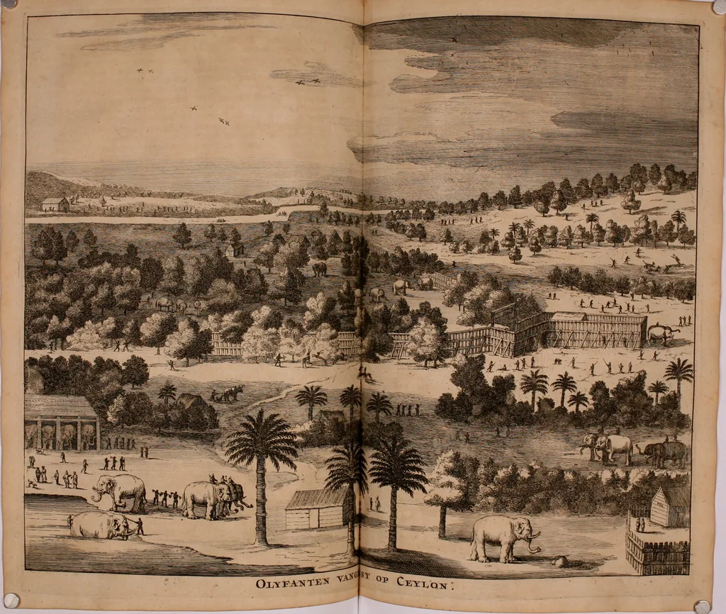 An illustration from Wahrhaftige ausführliche beschreibung der berühmten ostindischen kusten Malabar und Coromandel, als auch der insel Zeylon: samt dero angräntzenden und untergehörigen reichen, fürstentühmen, ländern, städten ... so wol auch der merkwürdigsten kriegshändel, belägerungen, feld- und seeschlachten, sonderlich zwischen den Portugesen und Holländern, handel-und kaufmannschaften: durchgehends verzieret mit neuen landkahrten und abbildungen der vornehmsten städte, festungen, trachten, thiere, früchte, &c. so in India selbst nach dem leben gezeichnet, und folgends mit fleiss zu kupfer gebracht: benebst einer umständlichen und gründlichen entdeckung der abgötterey der ost-indischen heyden, Malabaren, Benjanen, Gentiven, Bramines &c. .., 1672, leaf 511