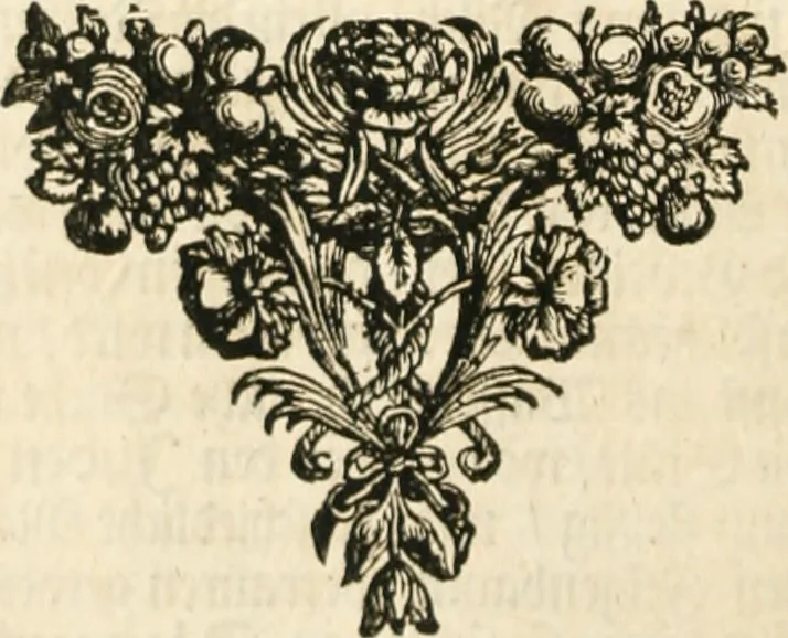 An illustration from Wahrhaftige ausführliche beschreibung der berühmten ostindischen kusten Malabar und Coromandel, als auch der insel Zeylon: samt dero angräntzenden und untergehörigen reichen, fürstentühmen, ländern, städten ... so wol auch der merkwürdigsten kriegshändel, belägerungen, feld- und seeschlachten, sonderlich zwischen den Portugesen und Holländern, handel-und kaufmannschaften: durchgehends verzieret mit neuen landkahrten und abbildungen der vornehmsten städte, festungen, trachten, thiere, früchte, &c. so in India selbst nach dem leben gezeichnet, und folgends mit fleiss zu kupfer gebracht: benebst einer umständlichen und gründlichen entdeckung der abgötterey der ost-indischen heyden, Malabaren, Benjanen, Gentiven, Bramines &c. .., 1672, leaf 699