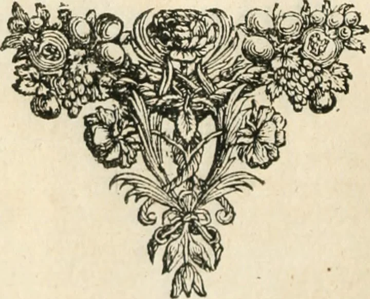 An illustration from Wahrhaftige ausführliche beschreibung der berühmten ostindischen kusten Malabar und Coromandel, als auch der insel Zeylon: samt dero angräntzenden und untergehörigen reichen, fürstentühmen, ländern, städten ... so wol auch der merkwürdigsten kriegshändel, belägerungen, feld- und seeschlachten, sonderlich zwischen den Portugesen und Holländern, handel-und kaufmannschaften: durchgehends verzieret mit neuen landkahrten und abbildungen der vornehmsten städte, festungen, trachten, thiere, früchte, &c. so in India selbst nach dem leben gezeichnet, und folgends mit fleiss zu kupfer gebracht: benebst einer umständlichen und gründlichen entdeckung der abgötterey der ost-indischen heyden, Malabaren, Benjanen, Gentiven, Bramines &c. .., 1672, leaf 701