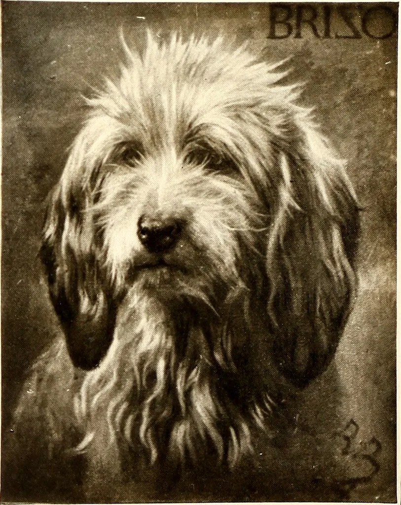 An illustration from The Wallace Collection at Hertford House, 1904, leaf 97