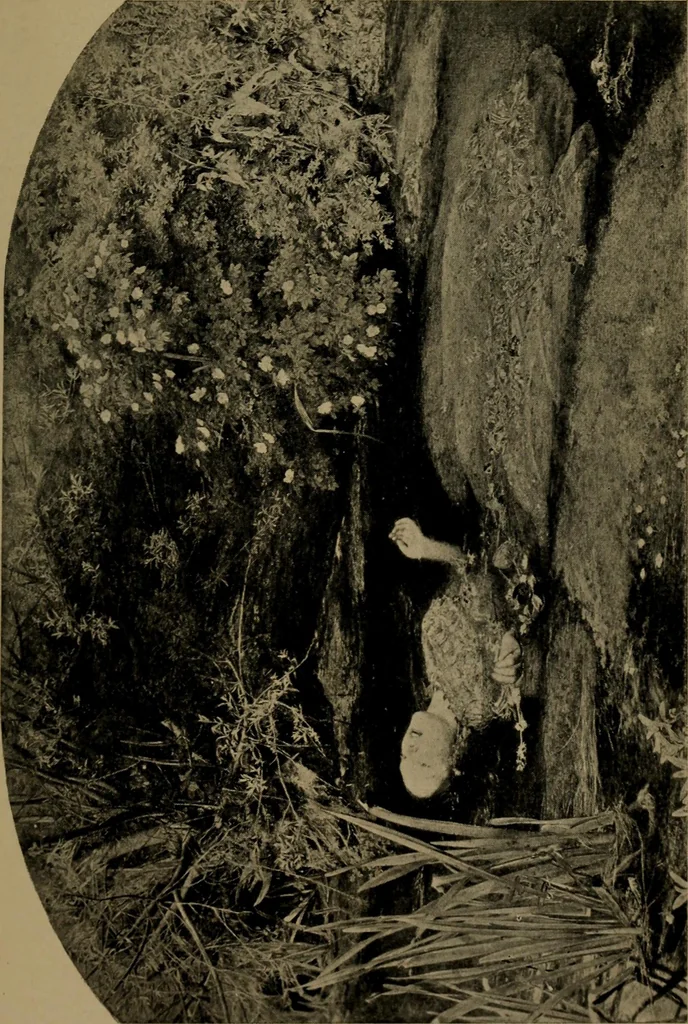 An illustration from The Wallace collection and the Tate gallery, 1908, leaf 226
