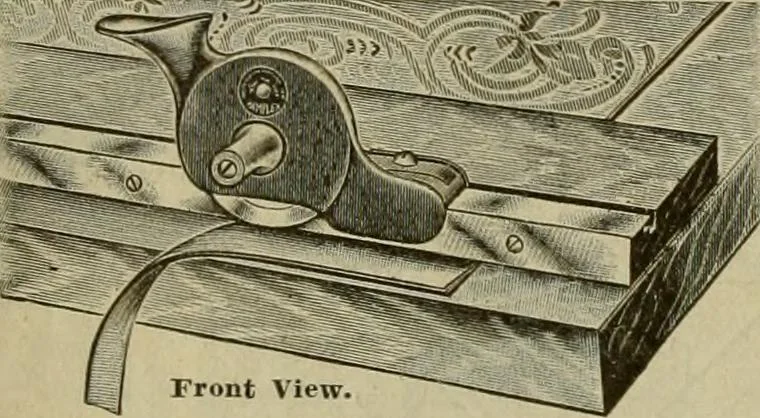 An illustration from Wall paper., 1900, leaf 17