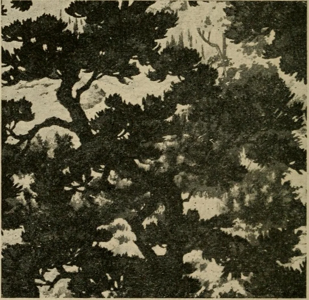 An illustration from Wall paper, its origin, development and manufacture, 1922, leaf 101