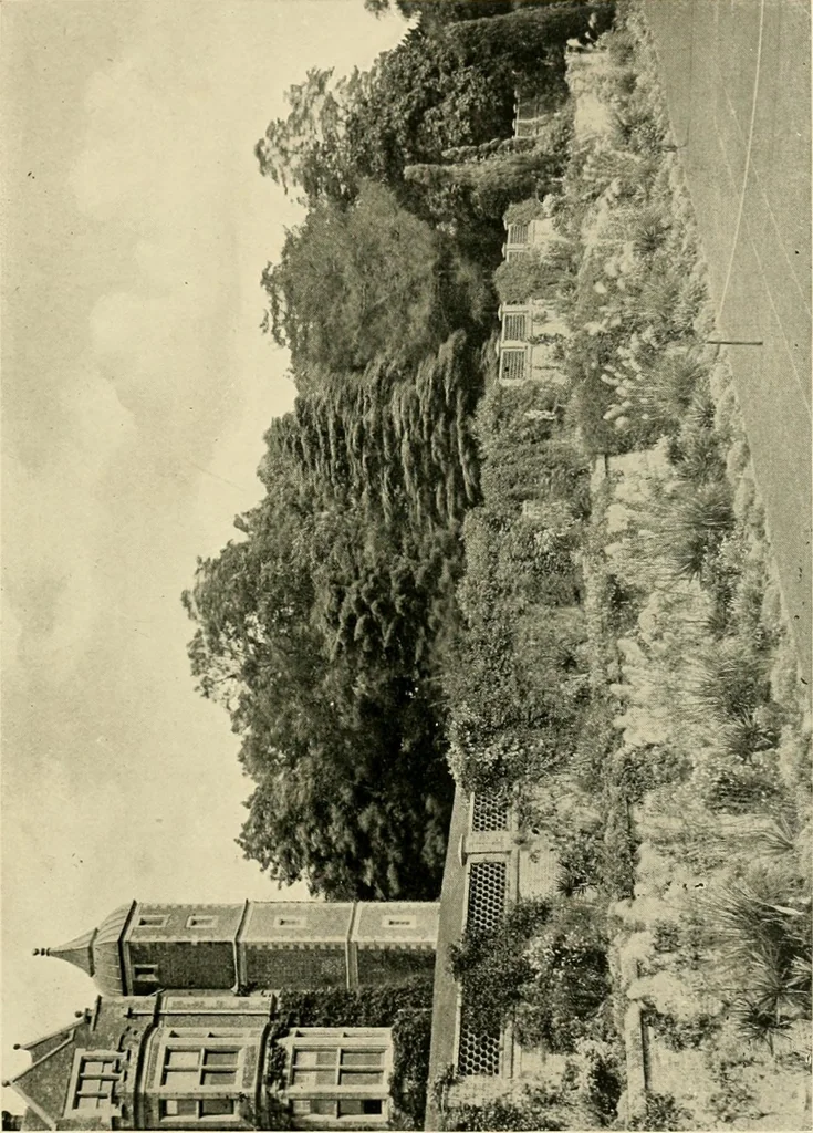 An illustration from Wall and water gardens, 1902, leaf 112
