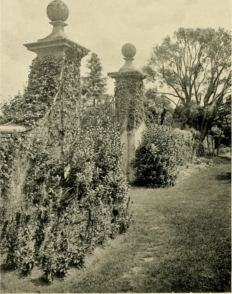 An illustration from Wall and water gardens, 1902, leaf 113