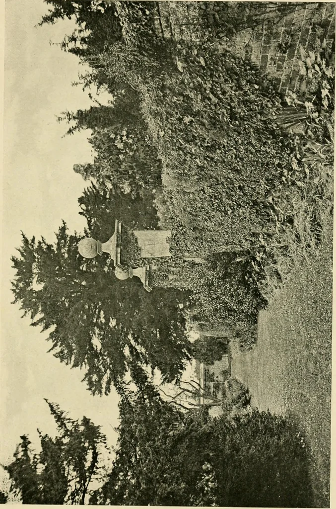 An illustration from Wall and water gardens, 1902, leaf 116