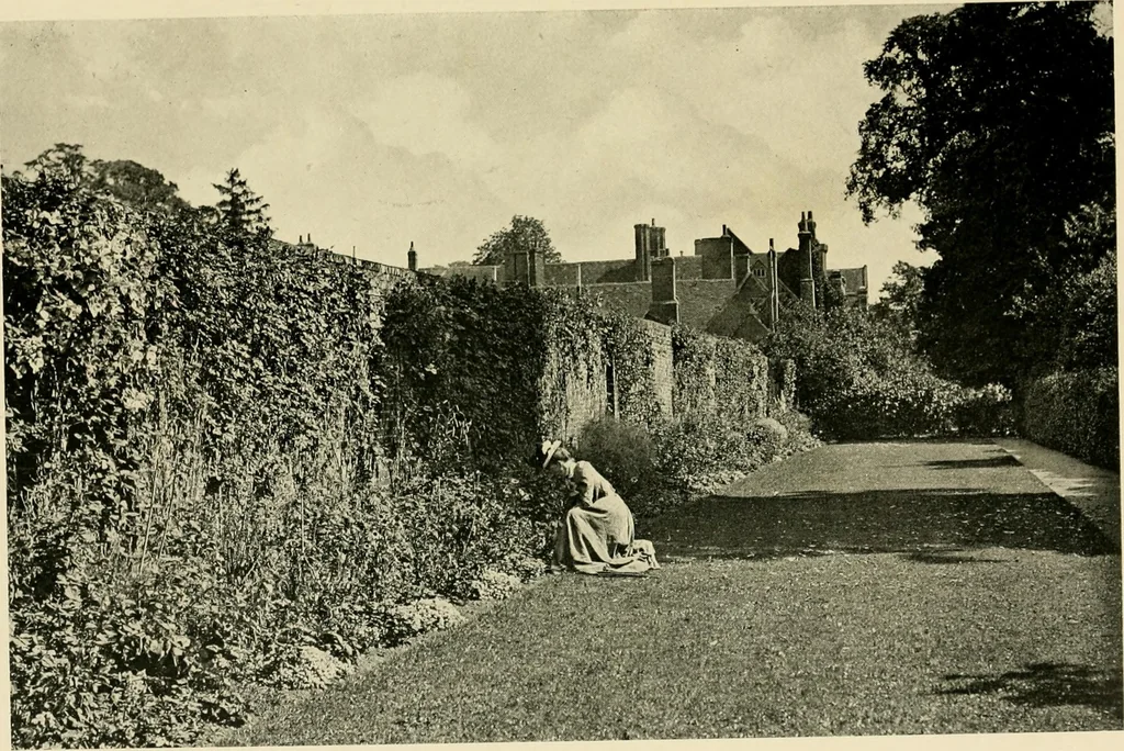 An illustration from Wall and water gardens, 1902, leaf 124