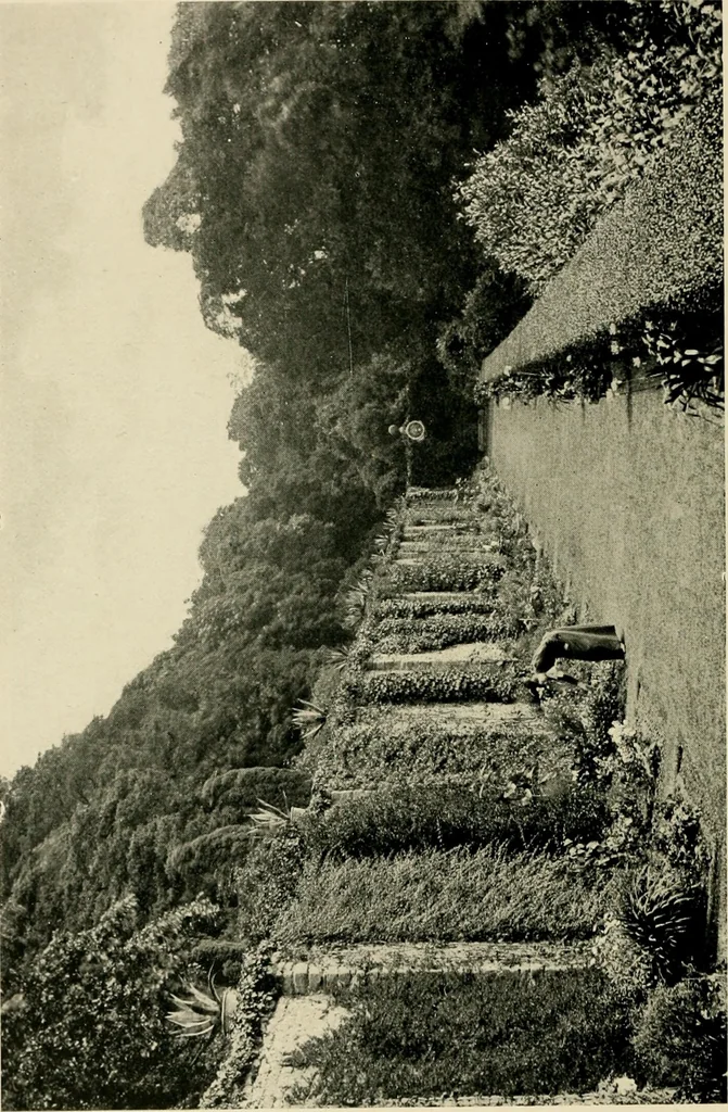 An illustration from Wall and water gardens, 1902, leaf 129