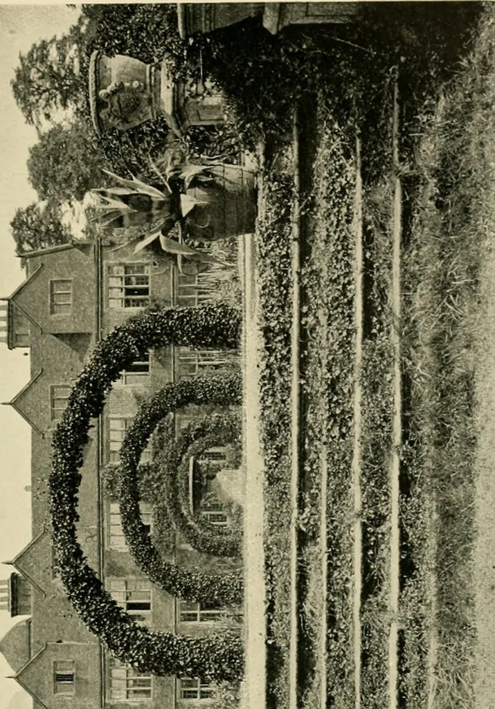 An illustration from Wall and water gardens, 1902, leaf 138