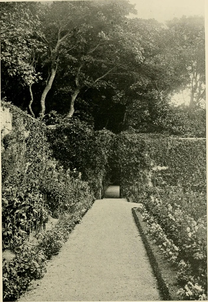 An illustration from Wall and water gardens, 1902, leaf 140