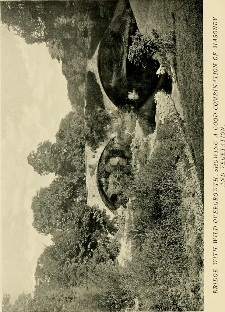 An illustration from Wall and water gardens, 1902, leaf 141