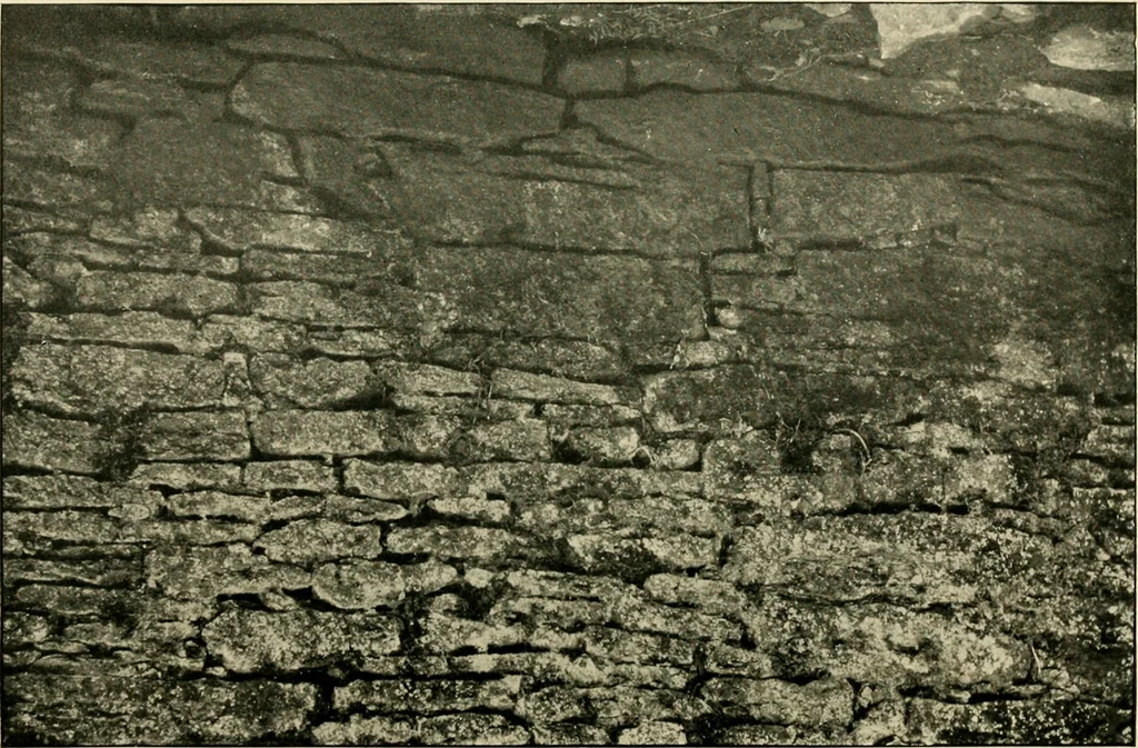 An illustration from Wall and water gardens, 1902, leaf 148