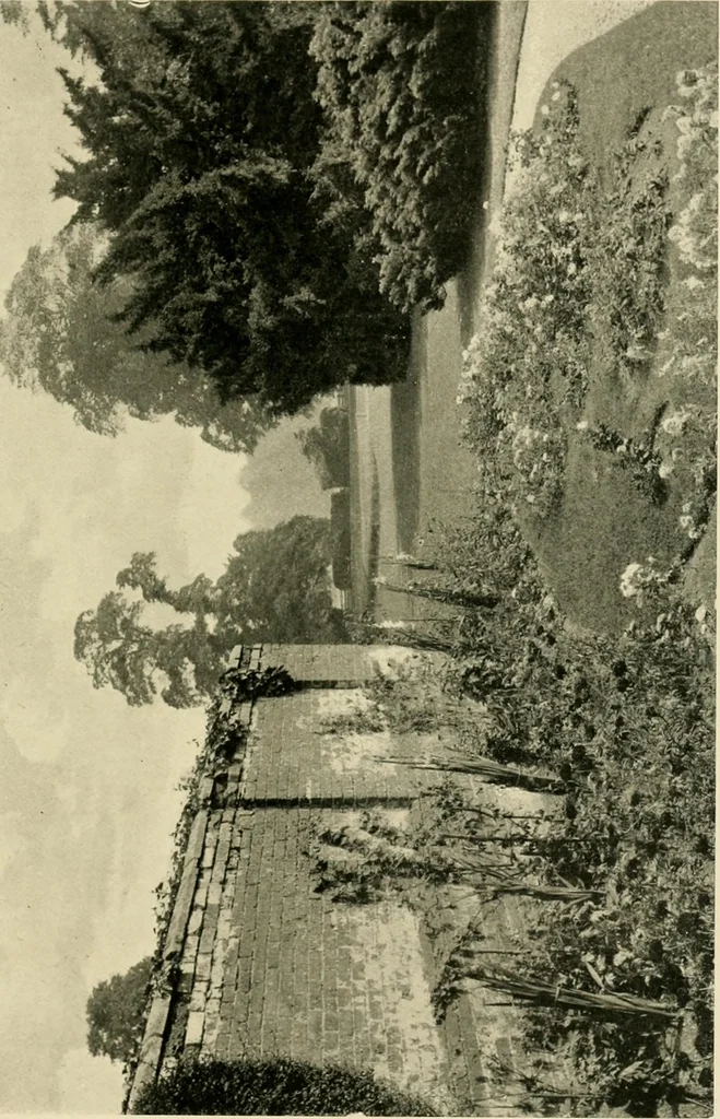 An illustration from Wall and water gardens, 1902, leaf 152
