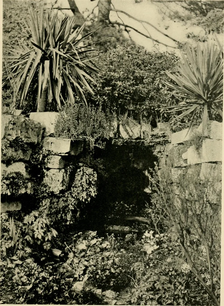 An illustration from Wall and water gardens, 1902, leaf 218
