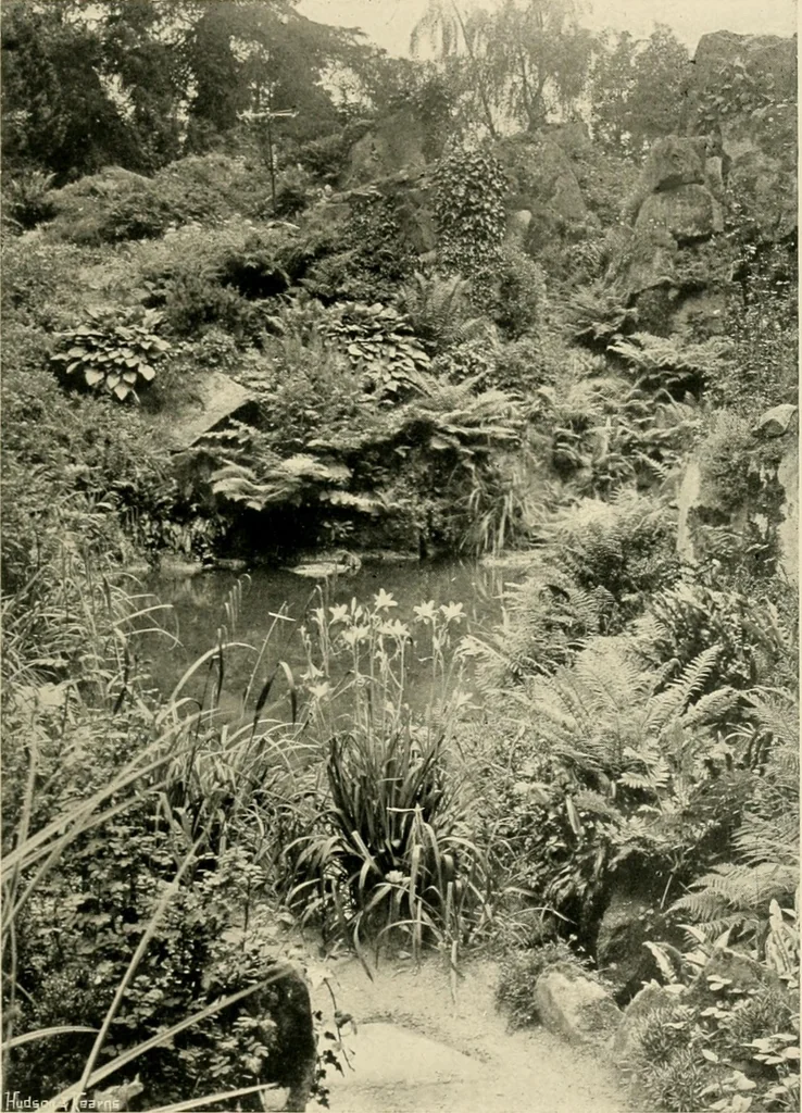 An illustration from Wall and water gardens, 1902, leaf 220