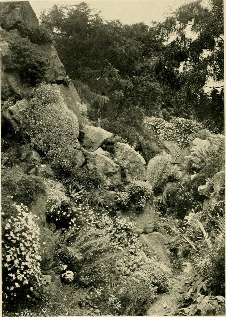 An illustration from Wall and water gardens, 1902, leaf 221