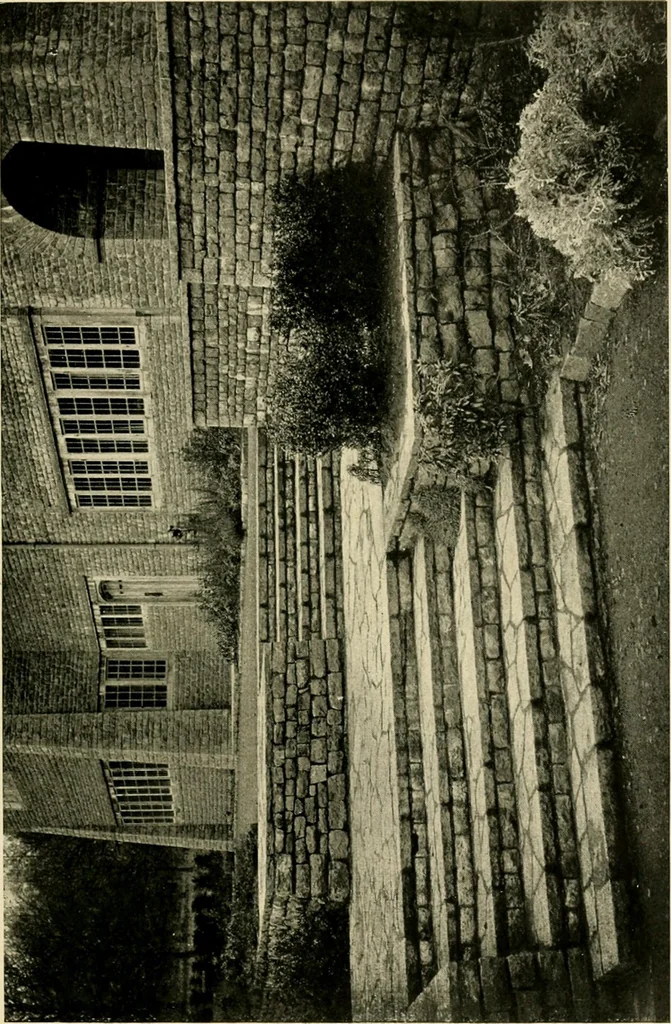 An illustration from Wall and water gardens, 1902, leaf 26