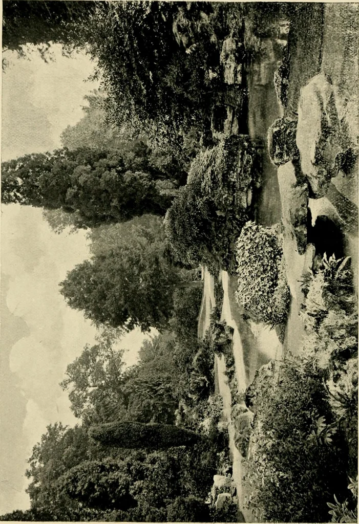 An illustration from Wall and water gardens, 1902, leaf 277