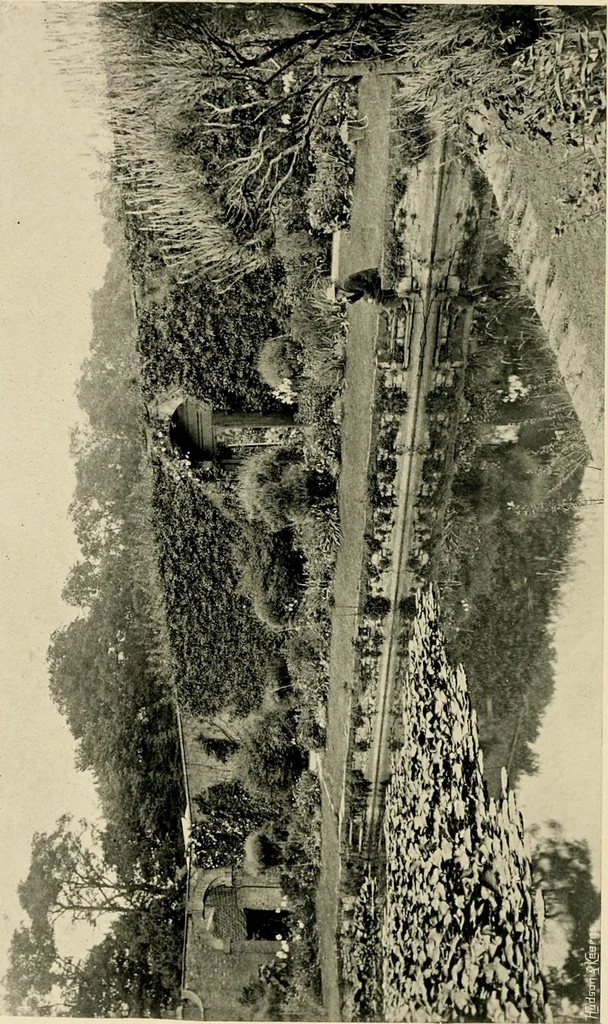 An illustration from Wall and water gardens, 1902, leaf 297