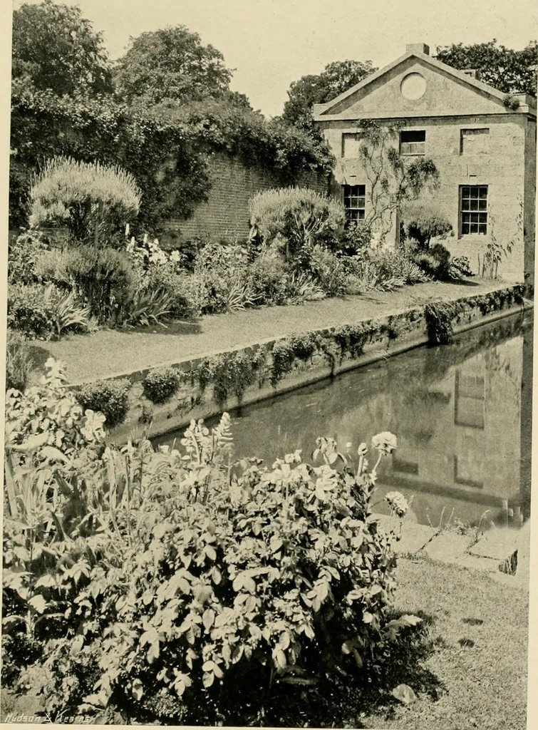 An illustration from Wall and water gardens, 1902, leaf 298