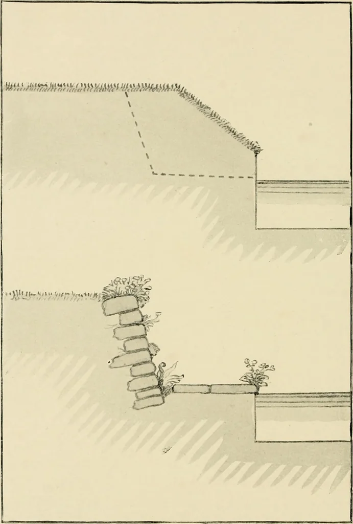 An illustration from Wall and water gardens, 1902, leaf 299