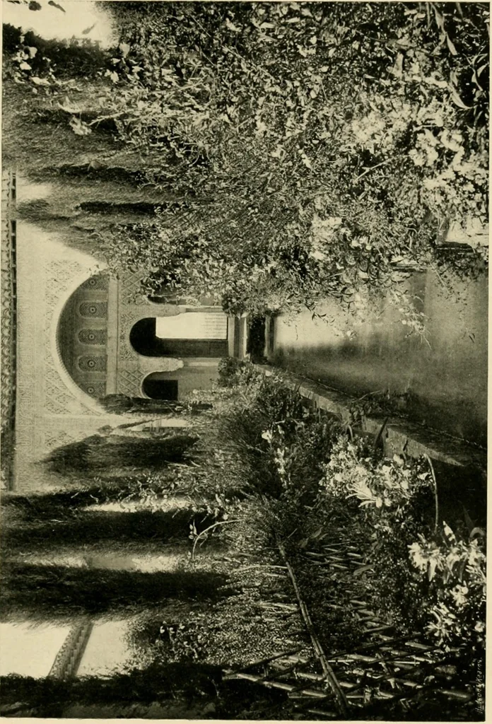 An illustration from Wall and water gardens, 1902, leaf 302