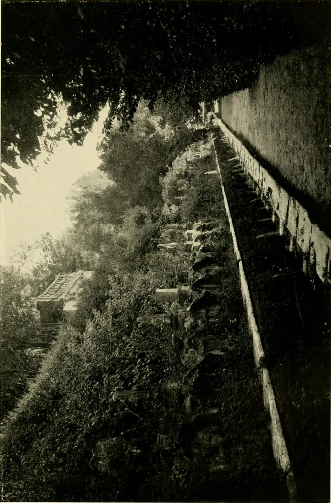 An illustration from Wall and water gardens, 1902, leaf 306
