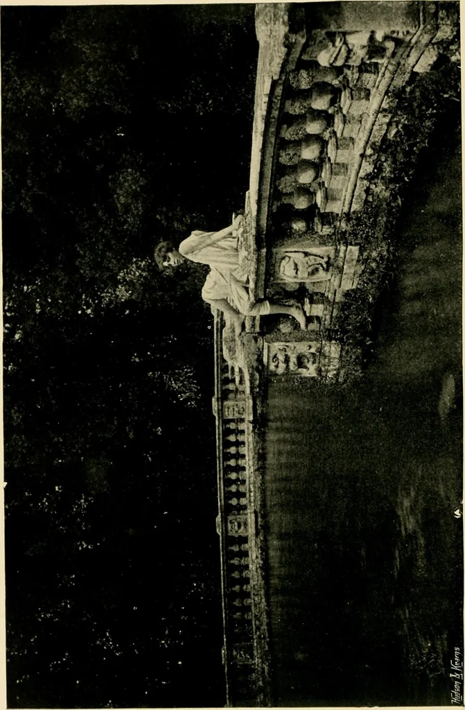 An illustration from Wall and water gardens, 1902, leaf 307