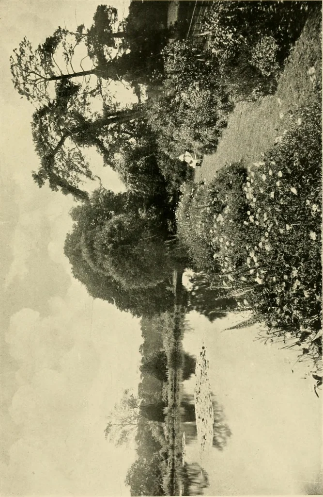 An illustration from Wall and water gardens, 1902, leaf 336