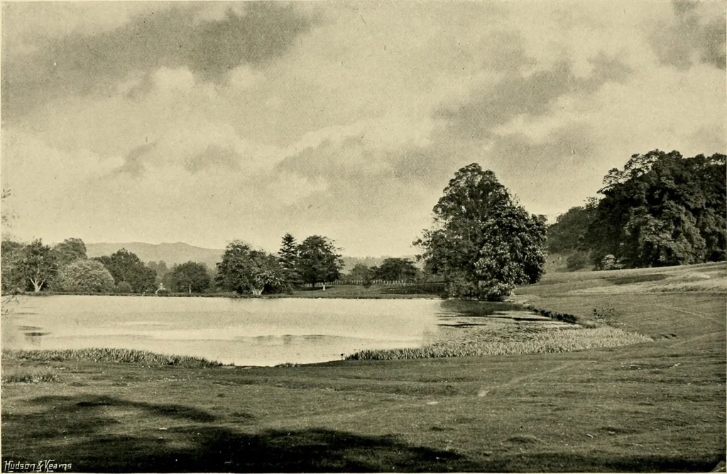 An illustration from Wall and water gardens, 1902, leaf 337
