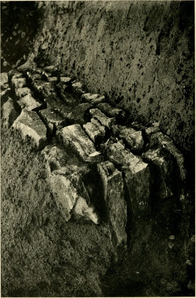 An illustration from Wall and water gardens, 1902, leaf 43